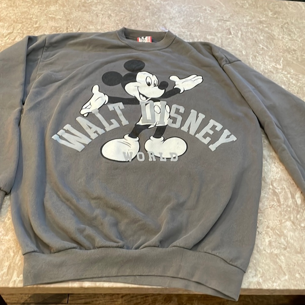 Walt Disney World Sweatshirt One Size Fits All